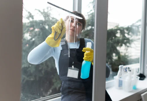 Nettoyage de vitres intérieures et extérieures à Vivario